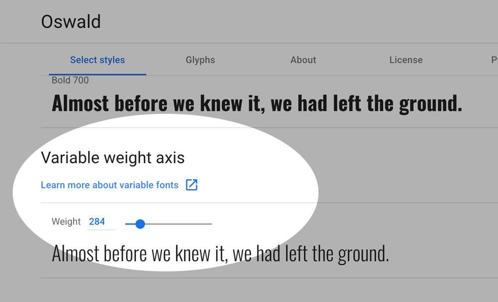 Google Fonts specimen page showing the variable font with weight slider